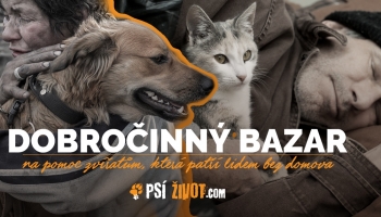 Dobročinný bazar s charitativní výstavou fotek z kalendáře Psí život